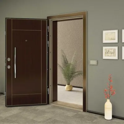 Kroma 609 Steel Door
