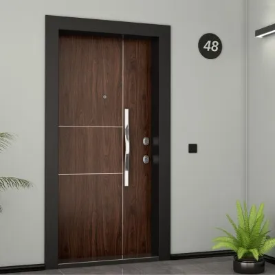 Nova 801 Steel Door
